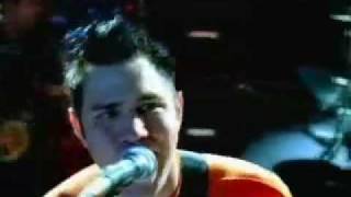 zebrahead postcards from hell