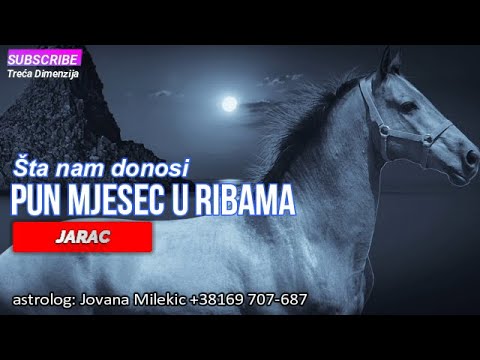 DANAS je Pun Mjesec u Ribama: Evo šta nam donosi u narednih 2 sedmice