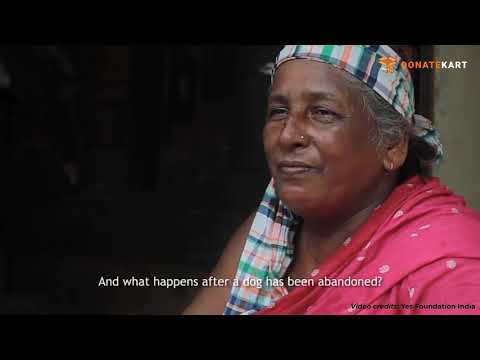 Pratima Devi, a ragpicker, needs your help to feed stray dogs.