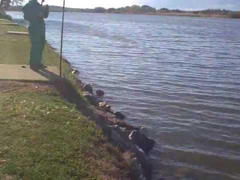 berezeni vaslui marcelino cel mai tare pescar