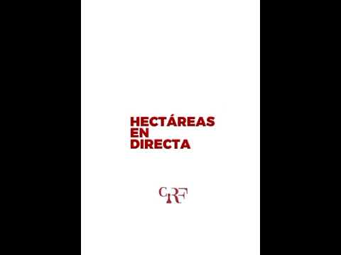 VENTA DE HECTÁREAS EN DIRECTA