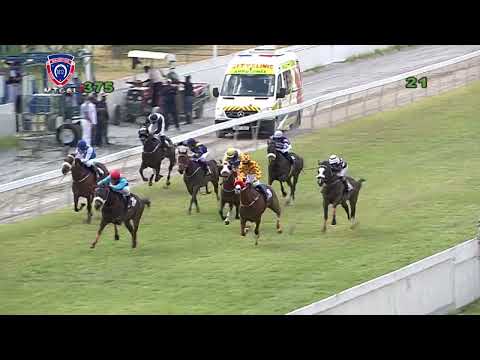 RM37 R5 | Thomas Henry | S.Bussunt