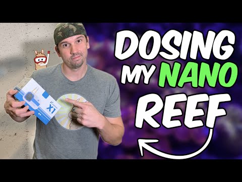 How I Dose My Nano Reef Tank - $50 Dosing Pump