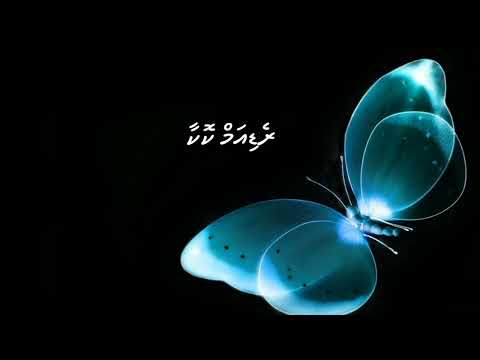 Dhohokkobey ge, Radium 🦋