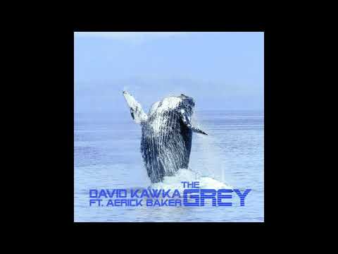 David Kawka - The Grey (feat. Aerick Baker)