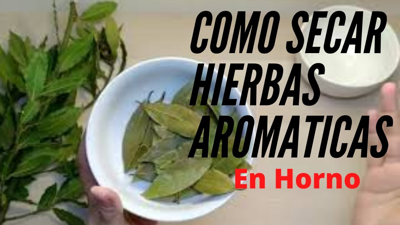 🌿 Como secar hierbas aromáticas y laurel sin perder propiedades.