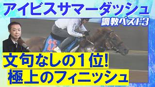 【伏兵もランクイン！】ピューロマジック、アメリカンステージ、エコロレジーナ・・・競馬エイト・高橋賢司トラックマンの調教解説＜アイビスサマーダッシュ(ＧⅢ)＞