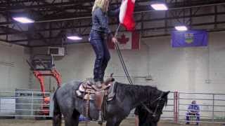 Rocking Heart Ranch Horse Training