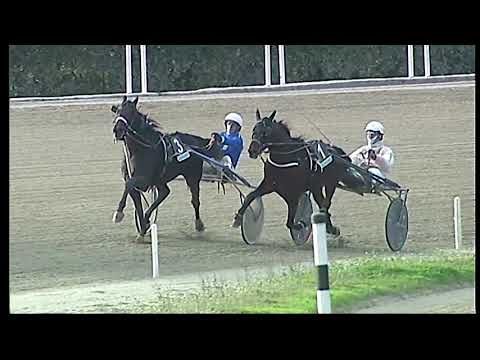 Trotto 27/12/2020 - 4ª corsa
