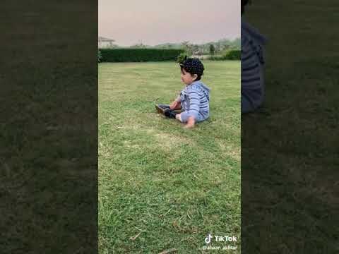 Cute plays with dog