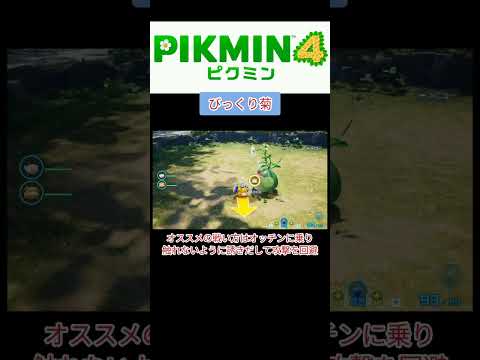 ピクミン4　びっくり菊　#Shorts