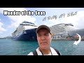Wonderland Restaurant Shows And Views Of The Ship Come Along On A Day At Sea Aboard A MEGA SHIP