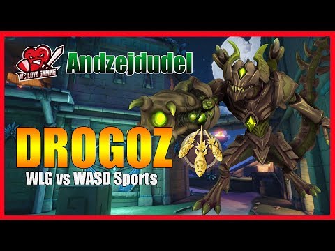 Andzejdudel | Drogoz POV | WLG vs WASD Sports | ESL Go4Paladins Europe Cup #18 Final