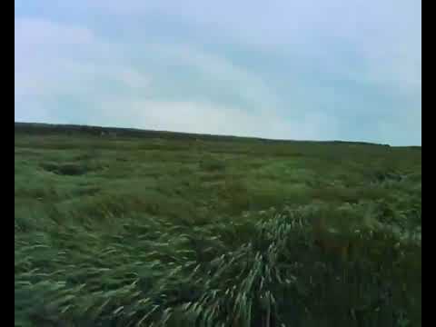 The Enigma of Kaspar Hauser