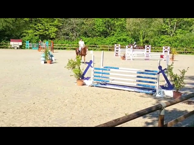 Jument baie 6 ans par EL BARONE 1M75