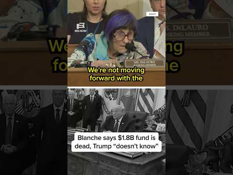 Blanche says $1.8B fund is dead, Trump 'doesn't know'