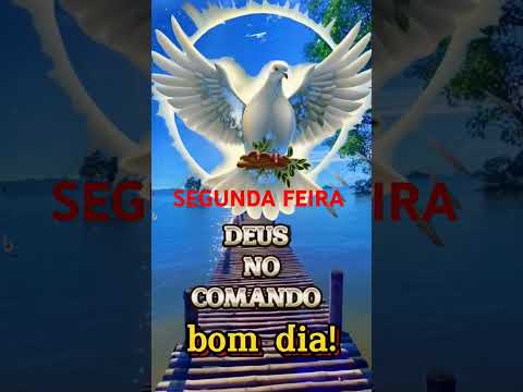 Vídeo: Mensagem segunda-feira: dúvidas e respostas