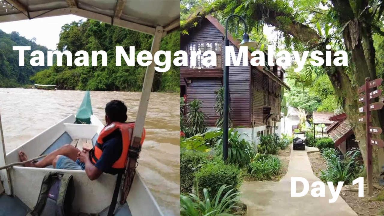 Taman Negara (National Park) - 3D2N tour complete guide (Day1)