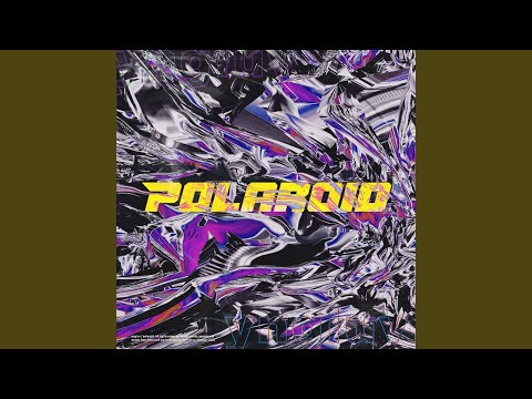 polaroid