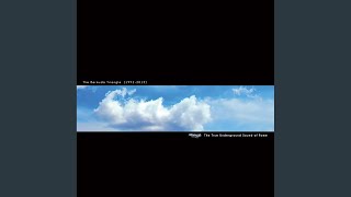 Night Of Love (Original Mix)