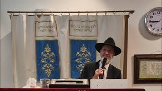 Le rôle vital de la joie...conférence à Hertzilia..pour une bonne réussite à cette communauté