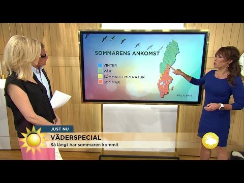 "Normalt sett har inte sommaren kommit så här långt" - Nyhetsmorgon (TV4)