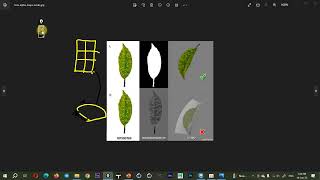 Co2Mc1_2023_S2_Maya Tutorial_001