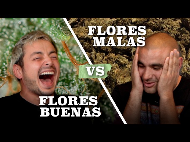 Vídeo relacionado con Flores de Labrador Retriever de Black Lab Florals,Bolsas para Guardar compresas sanitarias, Bolsas para la menstruación para Mujeres y Adolescentes.