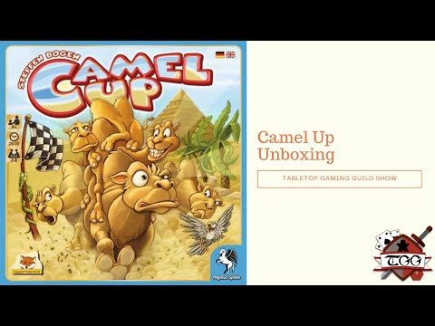 Camel Up Board Game Unboxing