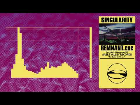 REMNANT.exe - Singularity (Official Audio)
