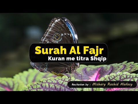 089 Surja Al Fajr - Mishary Al Afasy | Kuran me titra shqip |