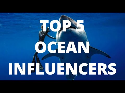 Save Our Seas  - Top 5