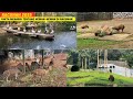 A Fun Day In Ragunan ️Affordable And Fun Tour In Jakarta