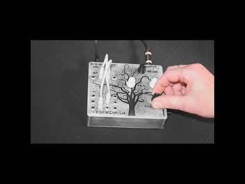 FrankenMusik Glitch Tree - Semi-Modular Drone Synth (V1) 2021 Silver / Black image 7