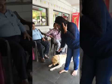 Jinal playing with Navab(dog🐕) at Jambughoda wildlife sanctuary resort on 15aug 2022 (2)