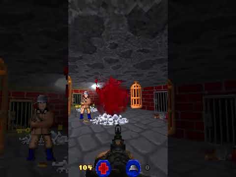 Brutal Wolf3D has some screams in it #wolfenstein3d #shorts