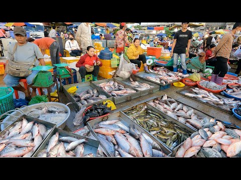 Amazing Fish Market Scenes Early Morning - Lively Fish, Fresh Fish, Lobsters & More |TourWithMalis