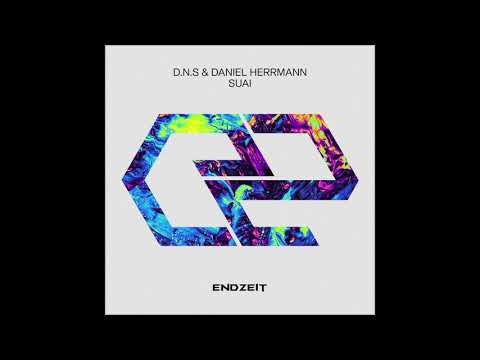 D N S & Daniel Herrmann - HardDrivenPeakTechno (Original Mix)