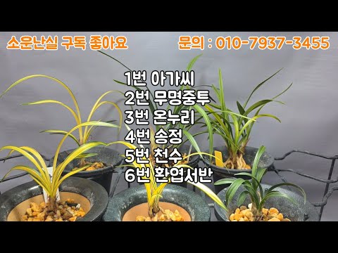유튜브 썸네일