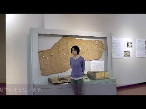 学芸員として働く（法文学部「卒業生の声」インタビュー06）