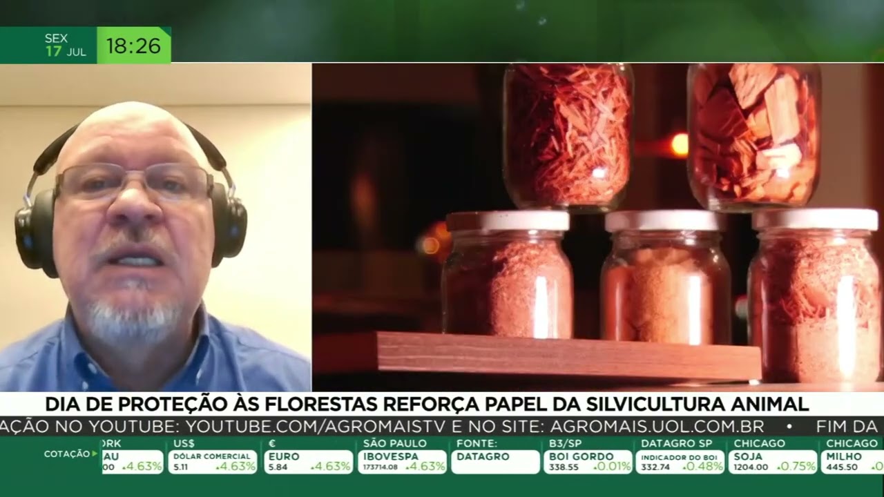 Dia de proteção às florestas reforça papel da silvicultura animal
