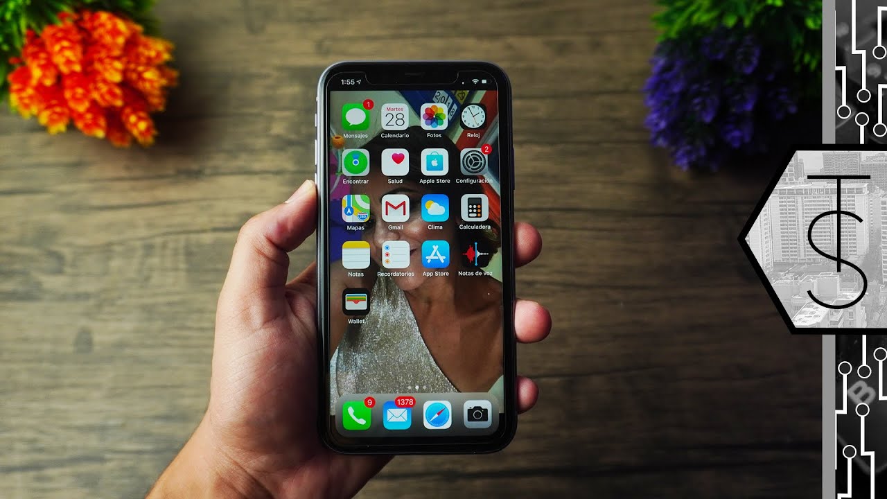 iPhone 11 Review | Is It Worth It In 2020?