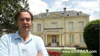 preview picture of video 'Bordeaux Wine Tours with the Bordeaux Wine Experience (impressions)'
