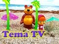 Маша и медведь каникулы в Майами. Видео для детей. Masha and the bear ...