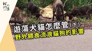 [問卦] 是因傳統觀念質疑TNR？