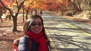 preview picture of video 'Fall in South Korea 2017 : Naejangsan National Park'