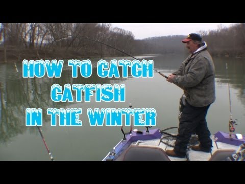 How to locate and catch wintertime catfish: *tips and techniques*