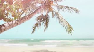 SAMMY AT OCEAN ISLE, 2017