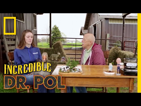 That's a Big Goose - Season 4, Episode 12 | Coffee Break with Dr. Pol