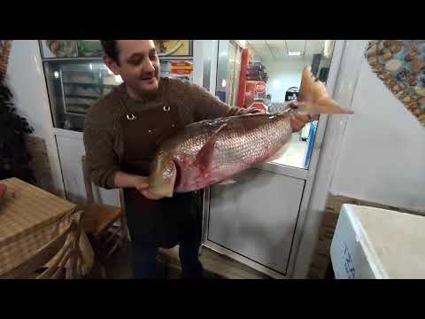 Η ιστορία μιας συναγρίδας 9 κιλών